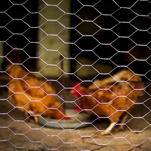 Tela Galinheiro Fio 23 1,50x50m Arame Galvanizada Uso Rural