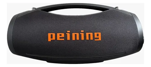 Ultra Bombox Peining S121 + 2 Microfones Karaoke 600w