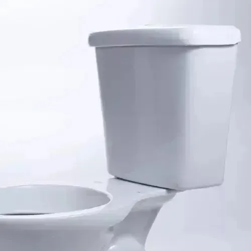 Vaso Sanitário + Caixa Acoplada Hervy Louças