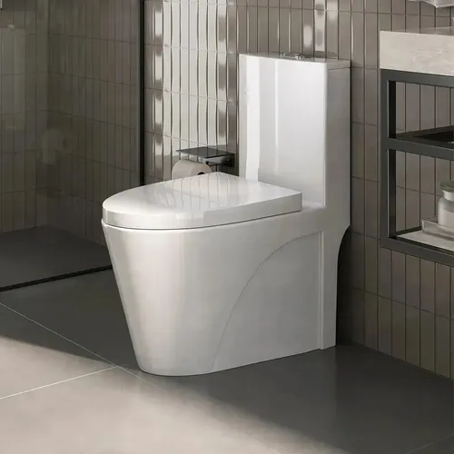 Vaso sanitario monobloco caixa acoplada completo privada