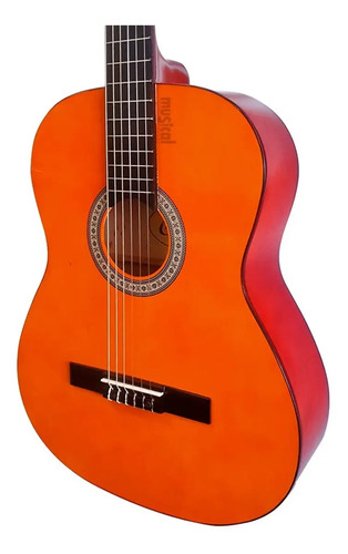Violão Clássico Giannini N-14 Natural Tampo Sabina Verniz Brilhante Com Cordas De Nylon