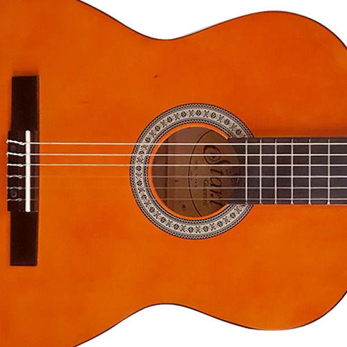 Violão Clássico Giannini N-14 Natural Tampo Sabina Verniz Brilhante Com Cordas De Nylon